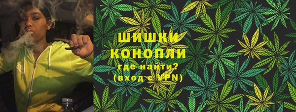 дмт Абаза