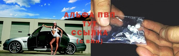 дмт Абаза