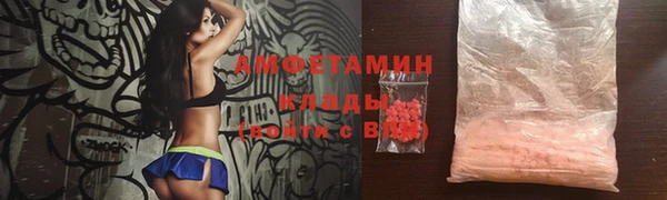 дмт Абаза